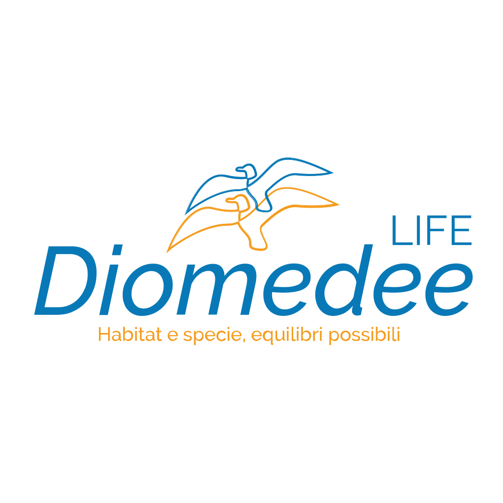 Life Diomedee
